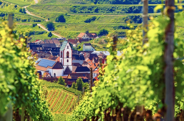 Vinmarker i Schwarzwald i Tyskland