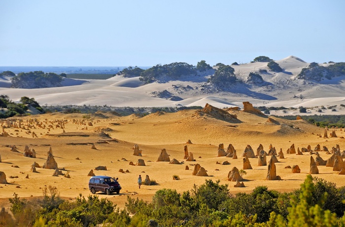 The Pinnacles i Nambung National Park, Western Australia