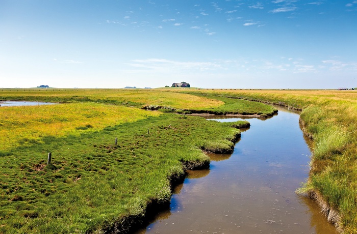 Idyllisk marsklandskab i Schleswig-Holstein