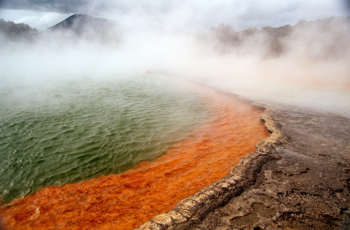 12_HI_NZ_Rotorua_1_NY.jpg