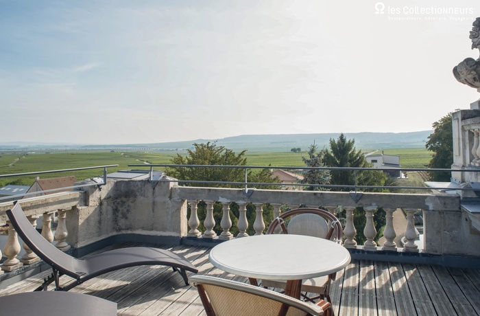 Château de Rilly, Les Collectionneurs