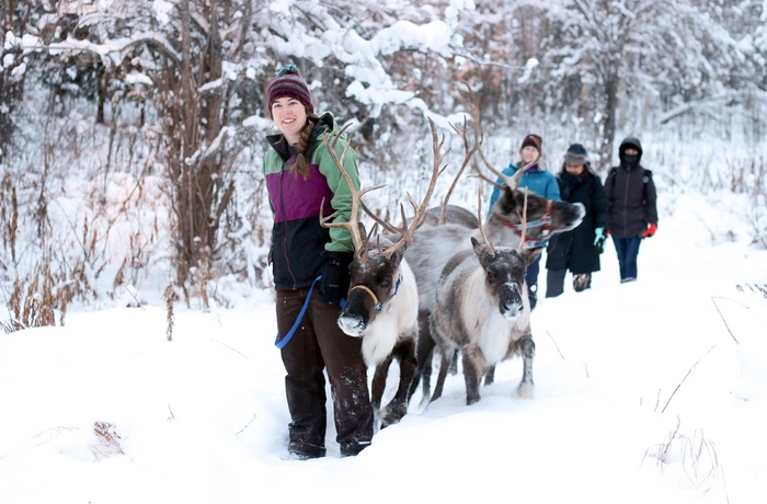 Robin med rensdyr og besøgende på Running Raindeer Ranch nær Fairbanks - Alaska