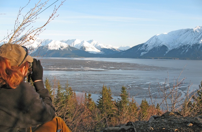 Udsigtspunkt til fjorden Turnagain Arm nær Anchorage i Alaska