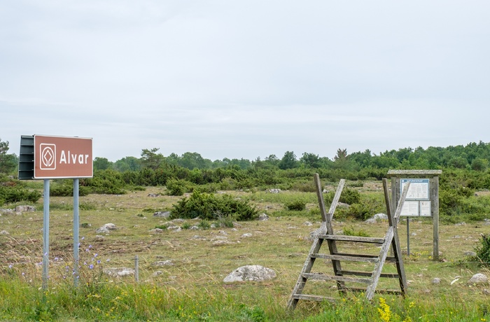 Stora Alvar naturomårde, Øland, Sverige