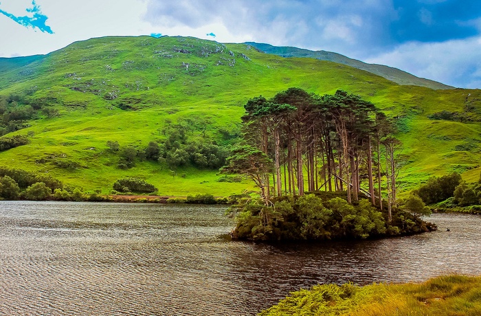 Øen Eilean na Moine i Loch Eilt - kendt fra Harry Potter