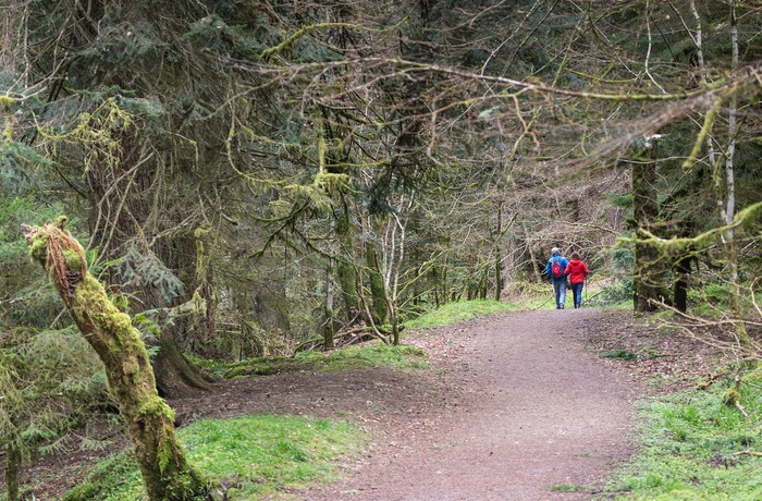 Reelig Glen i Skotland nær Inverness