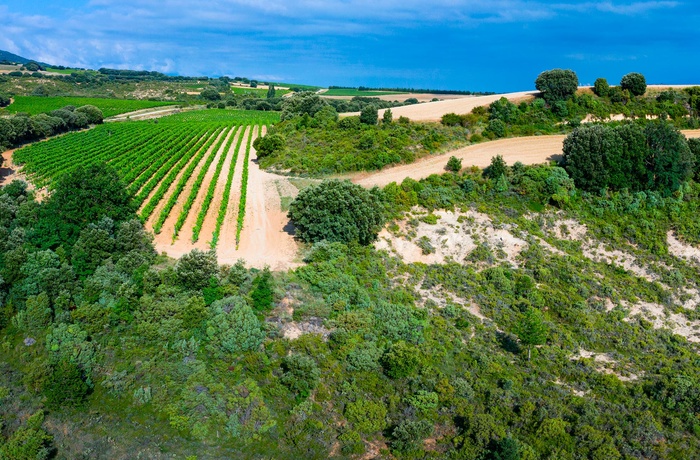 Vingården Bodegas Ysios i Baskerlandet i det nordlige Spanien - vinmarker