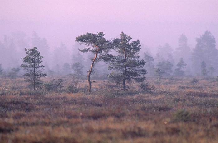 Store Mosse Nationalpark