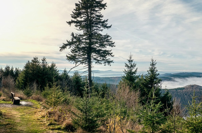 På vandring ved Inselberg i Thüringen - © Thüringer Tourismus GmbH
