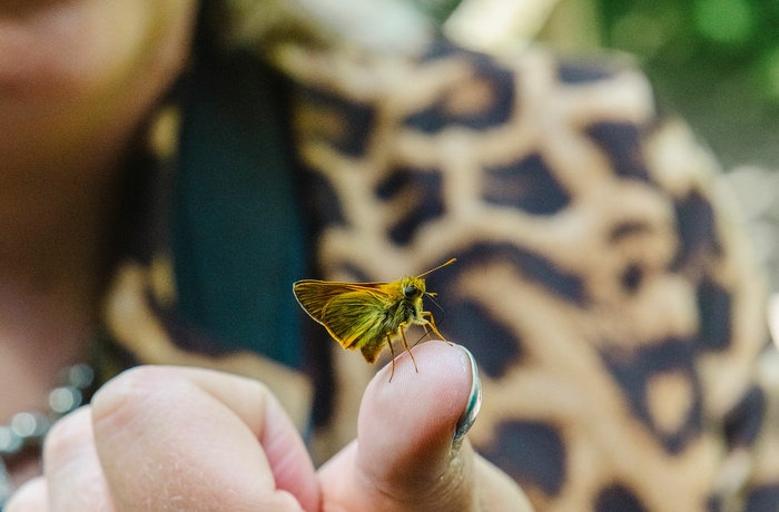 Biolog og naturformidler Vicky Knudsen på autocamper-tur i Schwarzwald