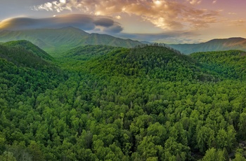 Smoky Mountains Nationalpark, Østlige USA