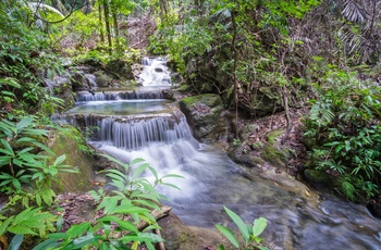 Smoky Mountains Nationalpark - vandflad, Østlige USA