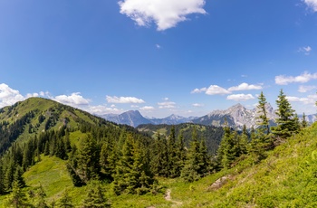 Ennstal Alperne på en sommerdag, Østrig