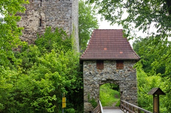 Ruinerne af Haichenbach slottet i Østrig