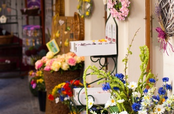 Gade med blomster butikker i Salzburg, Østrig