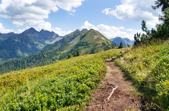 Vandresti i Planai bjergene nær Schladming, Østrig