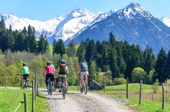 Venner eller familie på cykeltur i Tyrol, Østrig