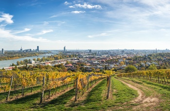 Vinmarker udenfor Wien, Østrig