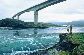 Kom tæt på Saltstrauemn i Norge - Foto Terje Rakke NordicLife Nordnorge