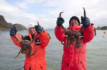 Kongekrabber i Honningsvåg Foto Frode Kristiansen VisitNordnorge