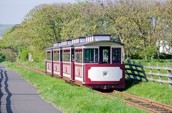 Bushmill Train