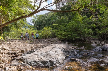 På vandretur i Conway National Park, Queensland - Foto og copyright: Tourism and Events Queensland