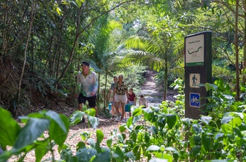 På vandretur i Conway National Park, Queensland - Foto og copyright: Tourism and Events Queensland