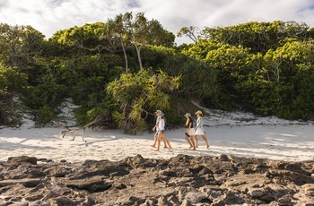 Ø-vandring på Heron Island, Queensland - Foto og copyright: Tourism and Events Queensland