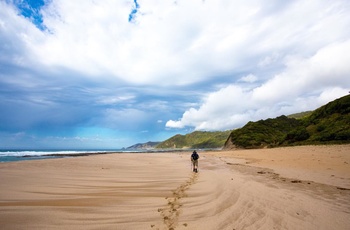 12 Apostles Guided Walk