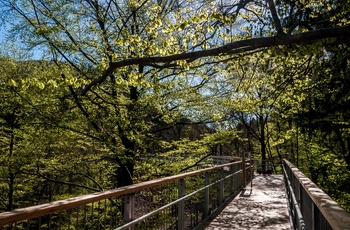 Baumwipfelpfad Harz, Bad Harzburg