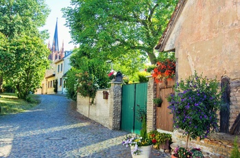 Hyggelig gade i Potsdam, Brandenburg i Tyskland