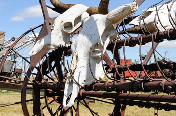 1880 Town - westernby i South Dakota, USA