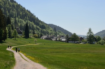 Biosphärengebiet Schwarzwald, Foto Thomas Stephan 