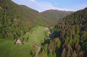 Biosphärengebiet Schwarzwald, Foto Thomas Stephan 