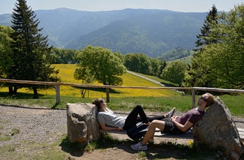 Biosphärengebiet Schwarzwald, Foto Thomas Stephan 