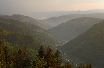 Biosphärengebiet Schwarzwald, Foto Thomas Stephan 