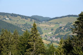 Biosphärengebiet Schwarzwald, Foto Thomas Stephan 