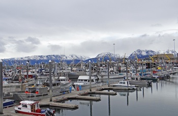 Havnen i kystbyen Homer, Alaska