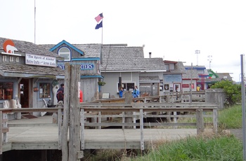 Små butikker i kystbyen Homer, Alaska