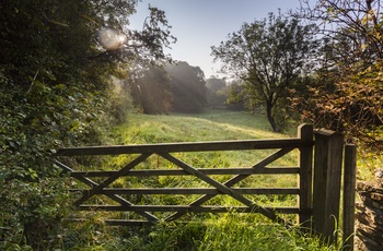 Cotswolds natursti