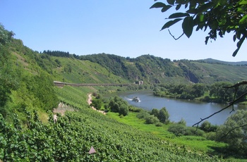 Jernbane ved Mosel