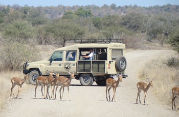 Safari fra Mpala Safari Lodge