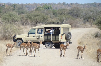 Mpala Safari Lodge