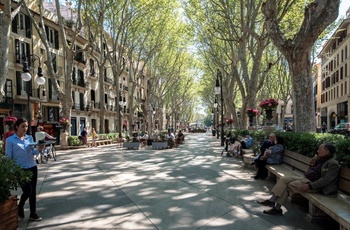 Palma, Passeig de Born