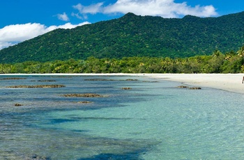 Cape Tribulation, strand møder regnskov 