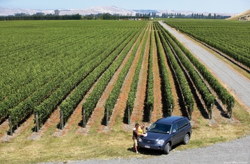 Gimblett Gravels Vineyard, Hawkes Bay