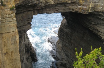 Hells Kitchen - Tasmanien