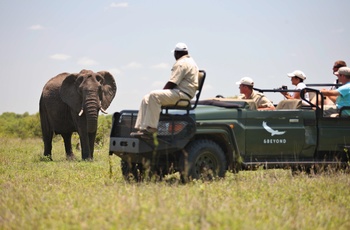 På safari fra Ngala Safari Lodge