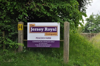 Jersey Royal, Kartofler