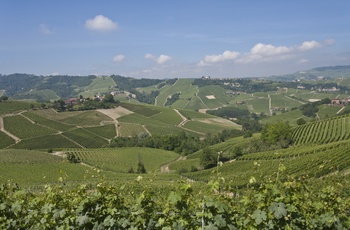 Piemonte